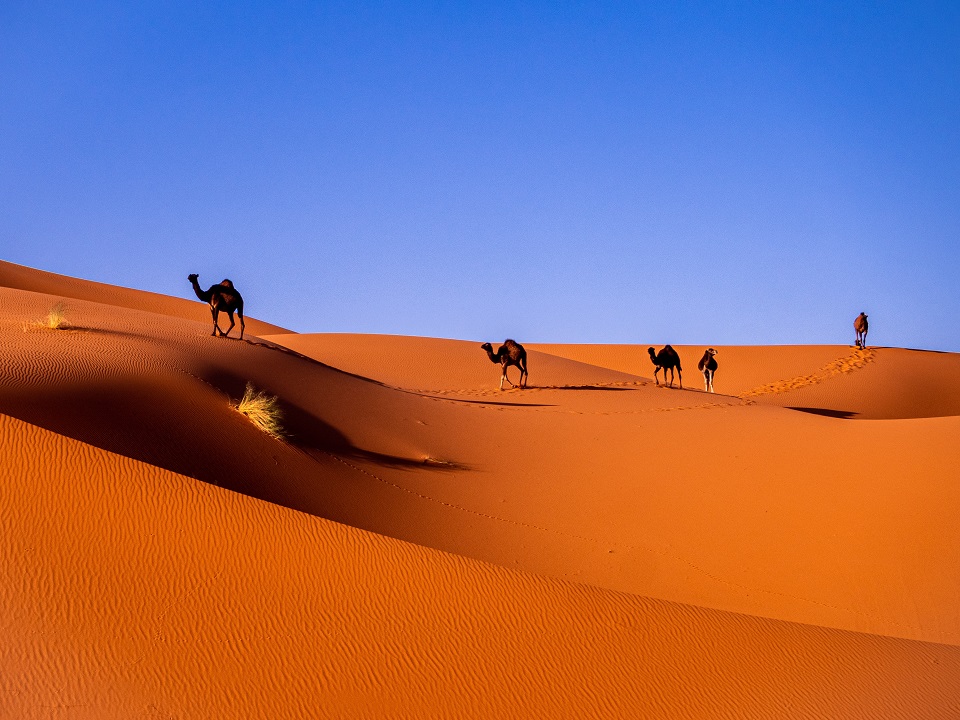 Merzouga in the Moroccan desert