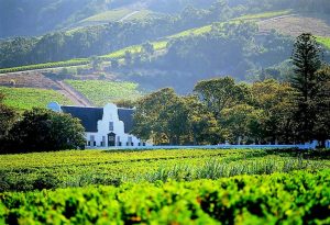 The Cape Winelands of Paarl, Western Cape, South Africa