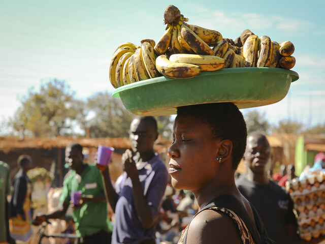 Malawian woman selling bananas at a market
