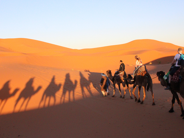 A camel ride in Merzouga in the Moroccan Desert